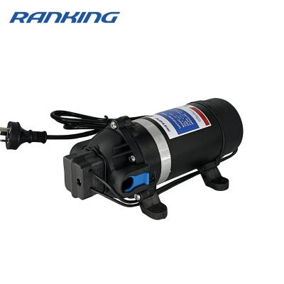 China Family Homes Ranging DP-160A AC 230V High Pressure Self Priming Automatic Diaphragm Water Pump for sale