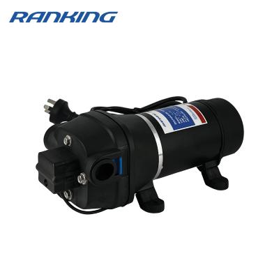 China RV Rank FL-33 RV AC 115V 12.5Lpm 35PSI Diaphragm Marine Water Pump For Portable Shower Car Wash Irrigation for sale