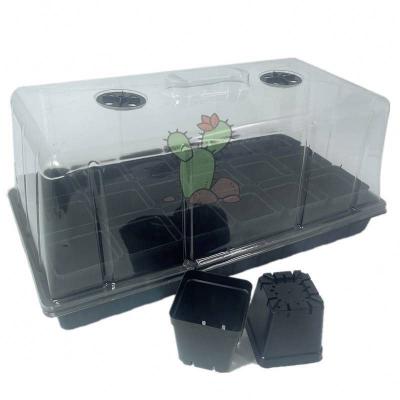 China Corrosion resistance Flat Seed Tray Seedling Propagation Starter Trays Plastic Seedling Nursery Flat Tray for sale