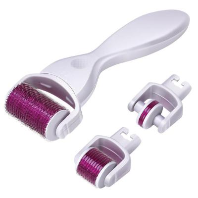 China Anti-hair removal FR roller set meso derma roller 192 derma roller with medical CE approved for sale