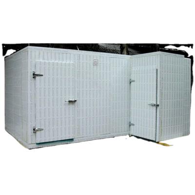 China Hotels Kitchen Equipment Supplying Frozen Cold Room For Meat And Fish Storage for sale