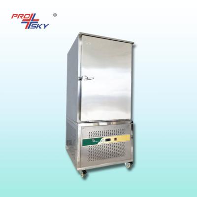 China Hotels Prosky 10 Filters Quick Freeze Poultry Blast Freezer Equipment for sale