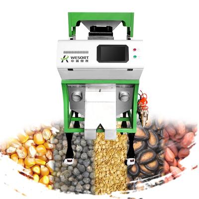 China Easy to Operate Separator Pumpkin Seed Screening Machine Grain Chilli Seeds Color Sorter High Accuracy and High Efficiency zu verkaufen