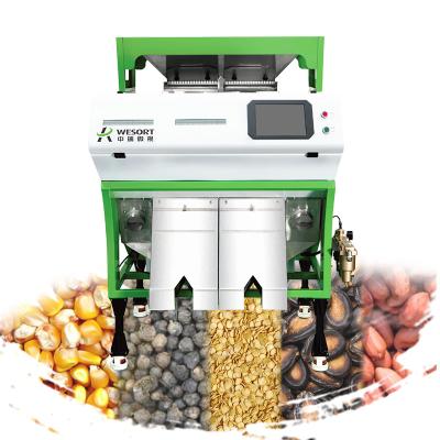 China Easy To Use With Factory Price Chili Seed Sorter Color From Maker For Sorghum Seed Pepper Color Sorter Color Sorter Machine zu verkaufen