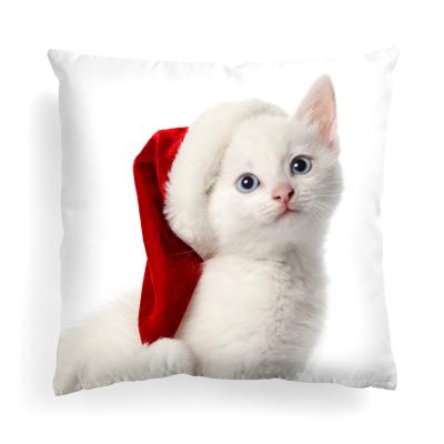 China 2021 New Anti-Pull Tile Cat Tile Cute Animal Naughty Sofa Cover Decorative Cushion Pillow for sale