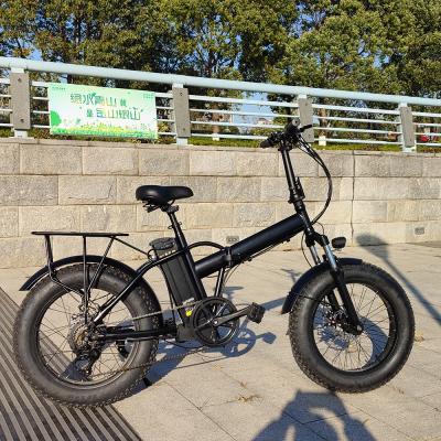 China Wholesale 20Inch 48V 750W Aluminum Alloy Fat Wheel Electric Bike European for sale