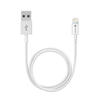 China Premium 2A Usb Fast Charging Cable For Iphone 12 Fast Charging Usb 2.1A Data Cable For Iphone Charger Cable For Iphone Charger for sale