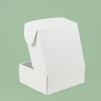 China White Empty Small Mailer Cardboard Packaging Container Skin Care Recyclable Fast Proofing Paper Express Shipping Box for sale