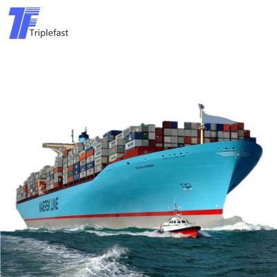 China Cheapest forwarder rates sea freight LCL shipping agent China to USA Germany Hamburg to door to port ship [ping sea freight for sale