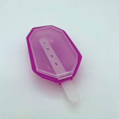 China New Style Eco-Friendly Sustainable Food Grade Single Capacity Silicone Ice Cream Mold for sale