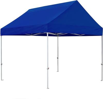 China Commercial Instant Outdoor Garden Gazebo Canopies Shelter With Heavy Duty Roll Bag for sale