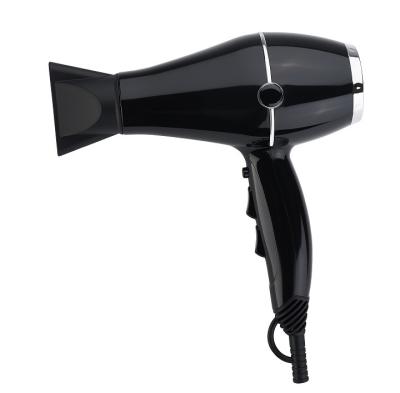 China The Other Of The Wind 2023 Super Dry Negative Ion Blow Hair Dryer Professional Salon Blow Dryer Strong Airflow Light Quickly for sale