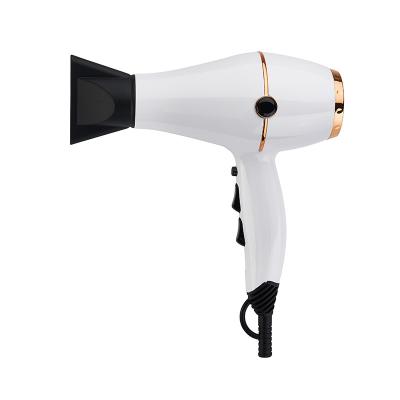 China Other Private Label 2100W AC Motor Function Hair Dryer Fan Professional Ionic Hair Dryer Manufacturer for sale