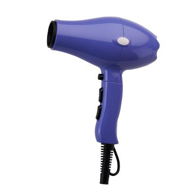 China Other Best Selling AC Motor Professional Powerful Hair Dryer 2023 with Private Label Concentrators Diffusor Accessories for sale