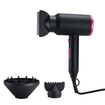 China Other Private Label AC Wholesale Professional MotorHair Dryer Compact Dryer For Salon Use for sale