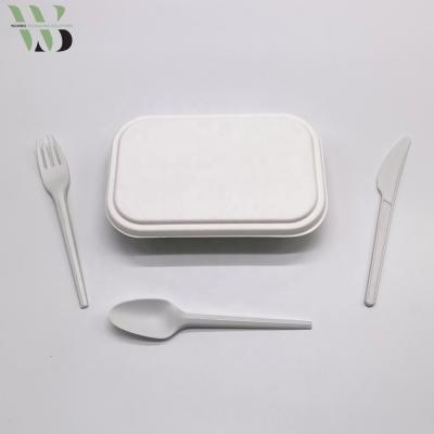 China Disposable Biodegradable Plastic Food Container Cornstarch Cornstarch Takeout Bento Lunch Box for sale