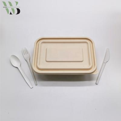 China Biodegradable Disposable Bento Lunch Box Food Containers Meal Prep Food Packaging 3 Compartment for sale