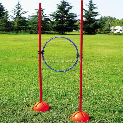 China Chinese Wholesale Sports Agility Marker Pole Slalom Pole Soccer Outdoor Exercising Equipment For Football Training for sale