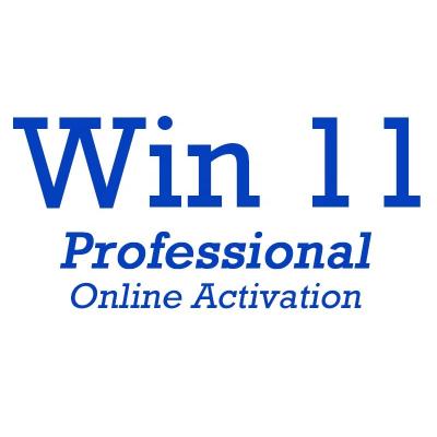 China 100% Working Original Win 11 Pro Digital Key Code 100% Activation Online Win 11 Professional License Send By Ali Chat for sale