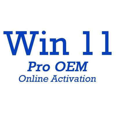 China 100% Working Original Win 11 Pro OEM Digital Key Code 100% Activation Online Win 11 Professional OEM License Send By Ali Chat for sale