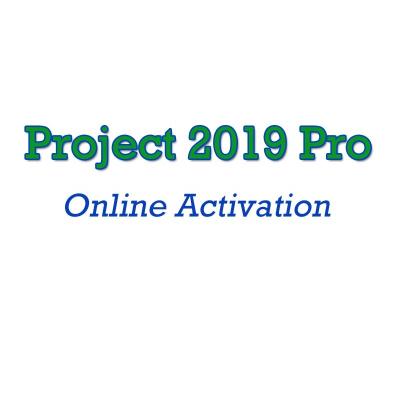 China 100% Working Project 2019 Professional Digital Key 100% Online Activation Project 2019 Pro License Project 2019 Key Send By Email for sale