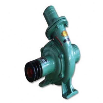 China Family Homes New Arrival Mission Magnum Belt Pulley Driven Centrifugal Water Pump for sale