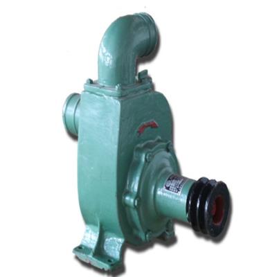 China Simple structure with stable pressure hot selling diaphragm pumps small duplex water pump capacity for sale