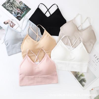 China High quality young women's sports breathable suspender vest Seamless women's bra fashion comfortable elastic solid color elastics for sale