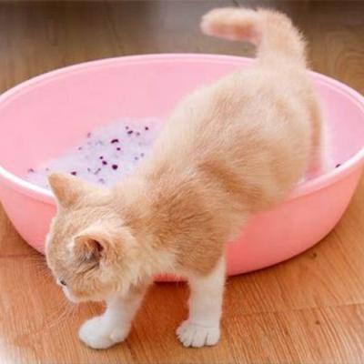 China Viable High Quality Bulk Silica Gel Crystal Cat Litter for sale