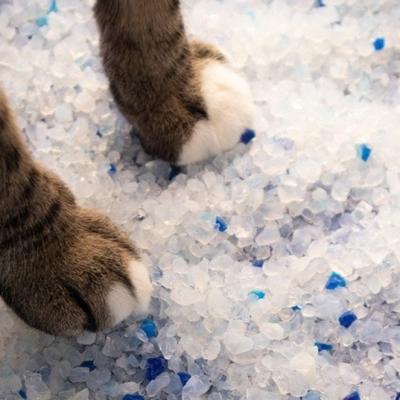 China Cat Litter Crystal Wholesale Viable Pet Supplies Water Absorption Deodorization Silica Gel 3.8L Cat Litter Crystal Cat Litter for sale