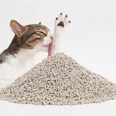 China 2022 Viable New Dust Proof Effective Deodorization Crushed Broken Sodium Bentonite Cat Litter for sale