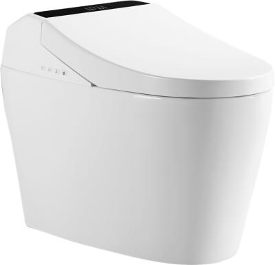 China Auto Operation Automatic Ceramic Sanitary Wc Intelligent Electric Smart Toilet for sale