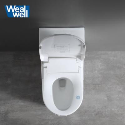 China Children's Toilet Seats Factory OEM Watermark Certificated Bidet Electric Toilet Seat Smart Toilet Seat for sale