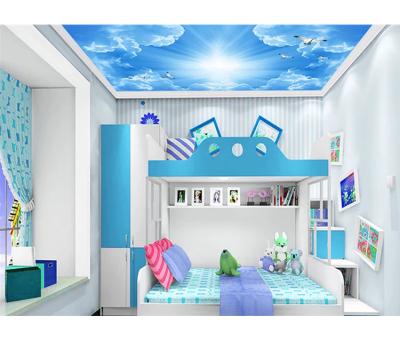 China Modern Customize Sky Cloud Ceiling Mural Wallpaper White Pigeons 3d Effect Ceiling Murals For Smallpox for sale