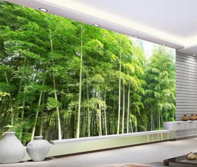 China Forest Landscape Mural 3d Wallpaper PVC Country HD Bamboo Wall Paper Home Decor for sale