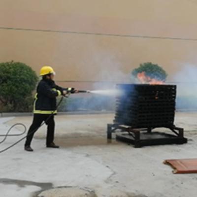 China Mist and Jet Stream Lance High Pressure Water Nozzle to Cart Fire Extinguishing Unit Water Mist System for sale