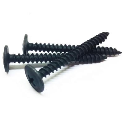 China DIN968 Good Quality Anti - Corrosion Black Capacity Coupon Tapping Screws / Gray Truss Head for sale