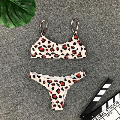 China 95%polyester 5%spandex china hot mature sexy female photo women sexy underwear lingerie for sale