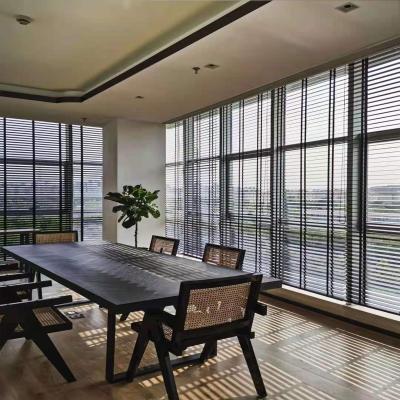 China Modern Decor Aluminum Coils Blinds with Horizontal Structure Sleek and Windproof for sale