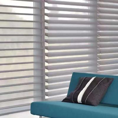 China Soft Home Decor Insect Resistant 3inch Slats Width Blind Fabric for Sustainable Living for sale