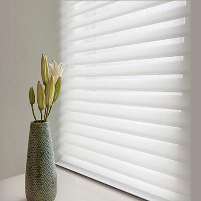 China Shangrila Fabric Polyester Roller Blinds with Valance Double Layer Manual Open Type for sale