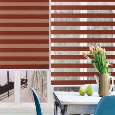 China Kind Zebra Blinds Customized for Luxurious and Functional Bathrooms or Living Room for sale