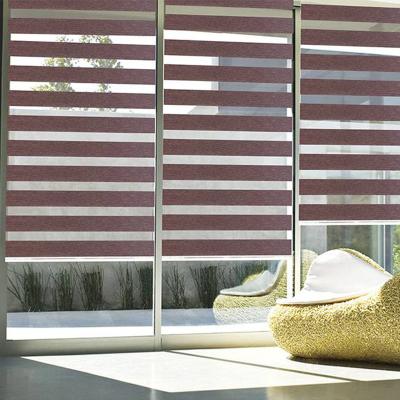 Κίνα Προσαρμοσμένα ηλεκτρικά Smart Zebra Shading Window Blinds για ανώτερη εμπειρία σκίασης προς πώληση