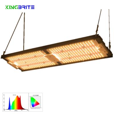 China Seed starting 2022 NEW! ! ! KingBrite LM281B 240W QB288 Led Growlights Kit IR UV Full Spectrum Dimmable LED Grow Light by King Brite Lighting for sale