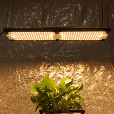 China Seed starting to waterproof grow light kingbrite 240W Samsung LM281B full spectrum dimmable grow light for sale