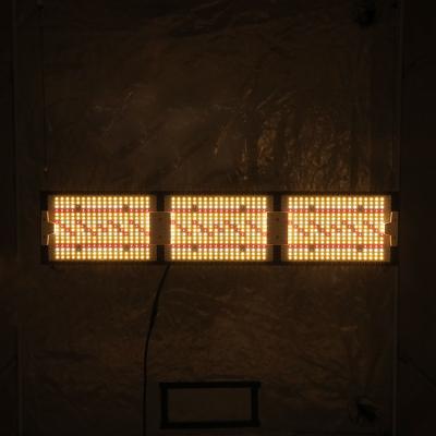 China Seed starting newer 2022! ! ! KingBrite 320w Samsung LM301H EVO Board Full Spectrum Dimmable Led For Growing Light for sale