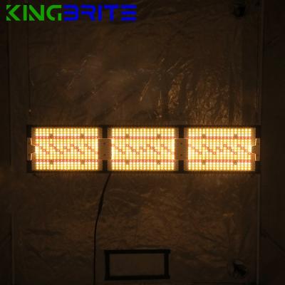 China Seed starting 2022 IP65 kingbrite 320W SAMSUNG LM301H EVO panel full spectrum led to grow light with MW driver for sale