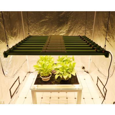 China Seed Starting 650W Led Bar KingBrite Samsung LM301H Full Spectrum Led Strip Grow Lights For 5*5ft Garden Greenhouse for sale