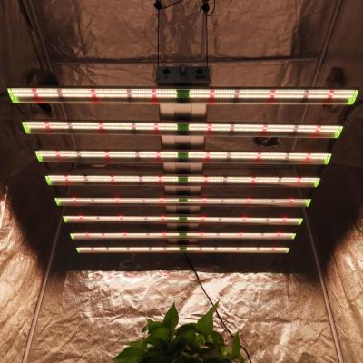 China Seed Starting Current USA GET 10% OFF High Efficiency Dimmable Grow Bar Kingbrite Led 720W Samsung LM301H IR UV Full Spectrum Bar Led To Grow Light for sale