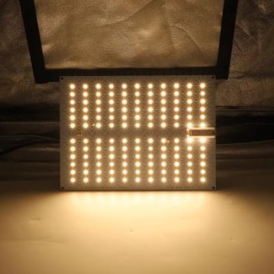 China Seed starting kingbrite 65w Samsung lm301h lm301b panels 3000k 3500k vertical led grow lights for indoor plants for sale